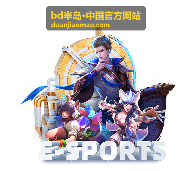 bd半岛·中国官方网站合作伙伴沟通与项目对接场景